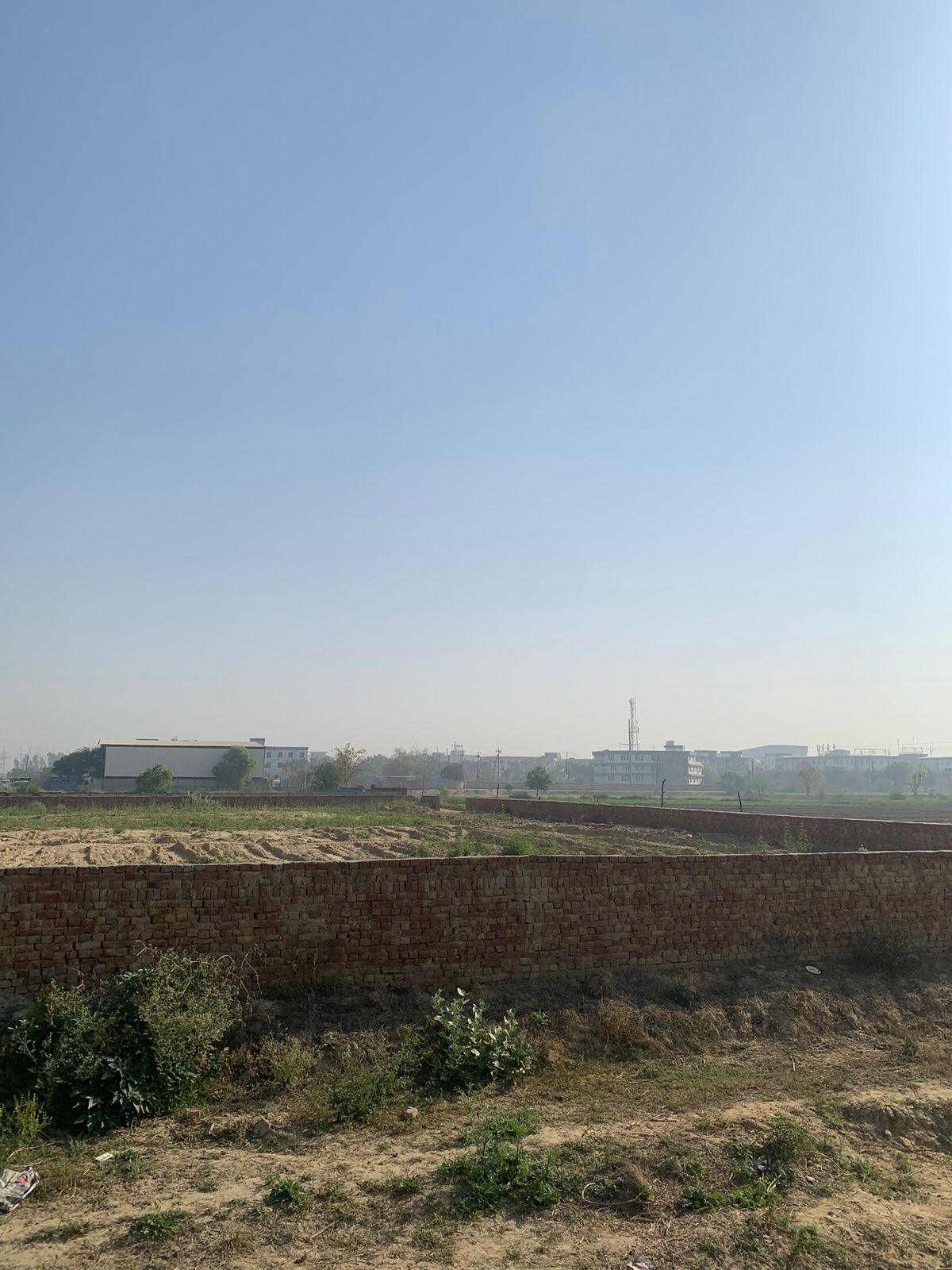 WhatsApp Image 2025-10-14 at 11.56.49 AM