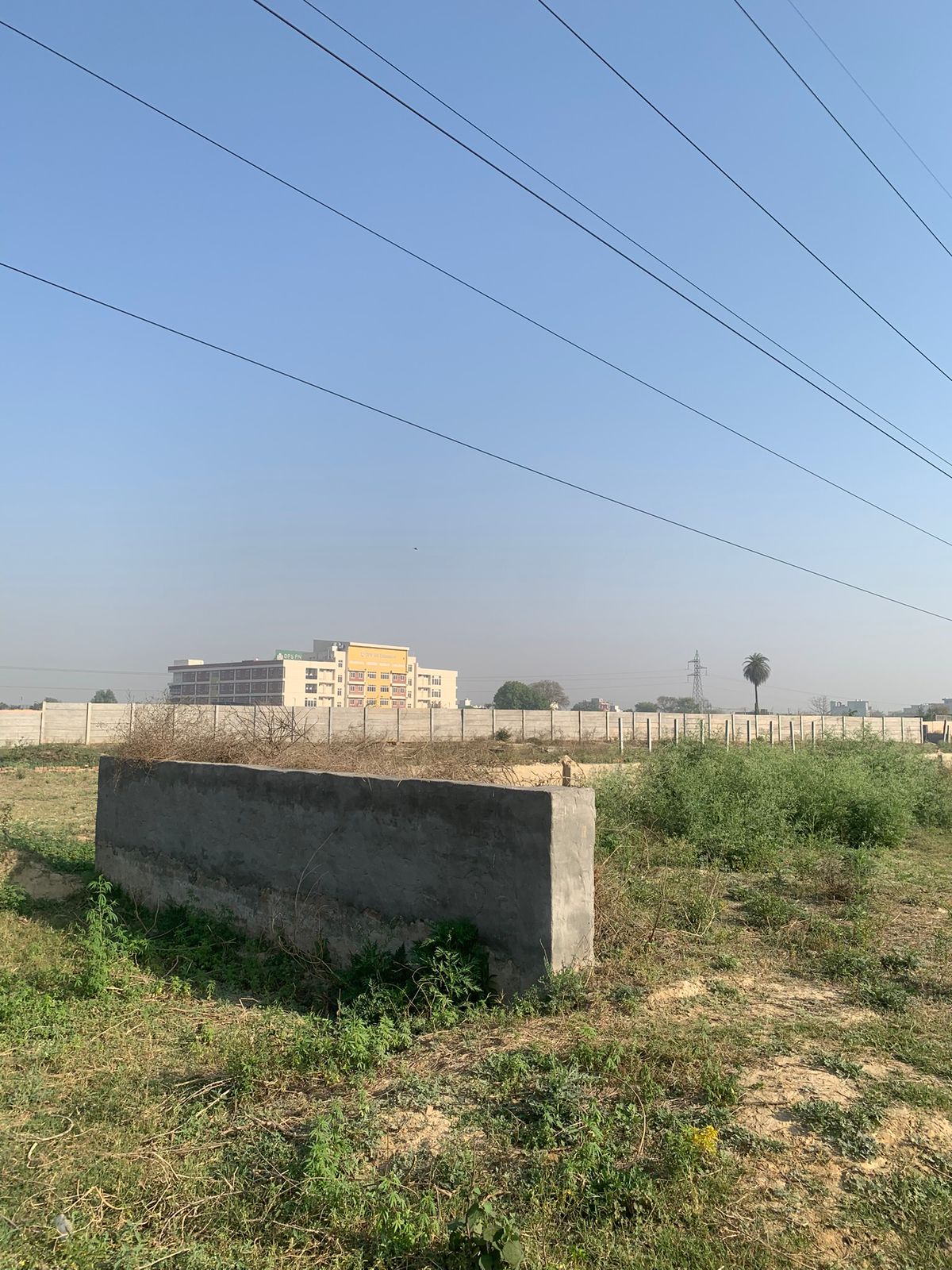 WhatsApp Image 2025-10-14 at 11.56.50 AM (2)