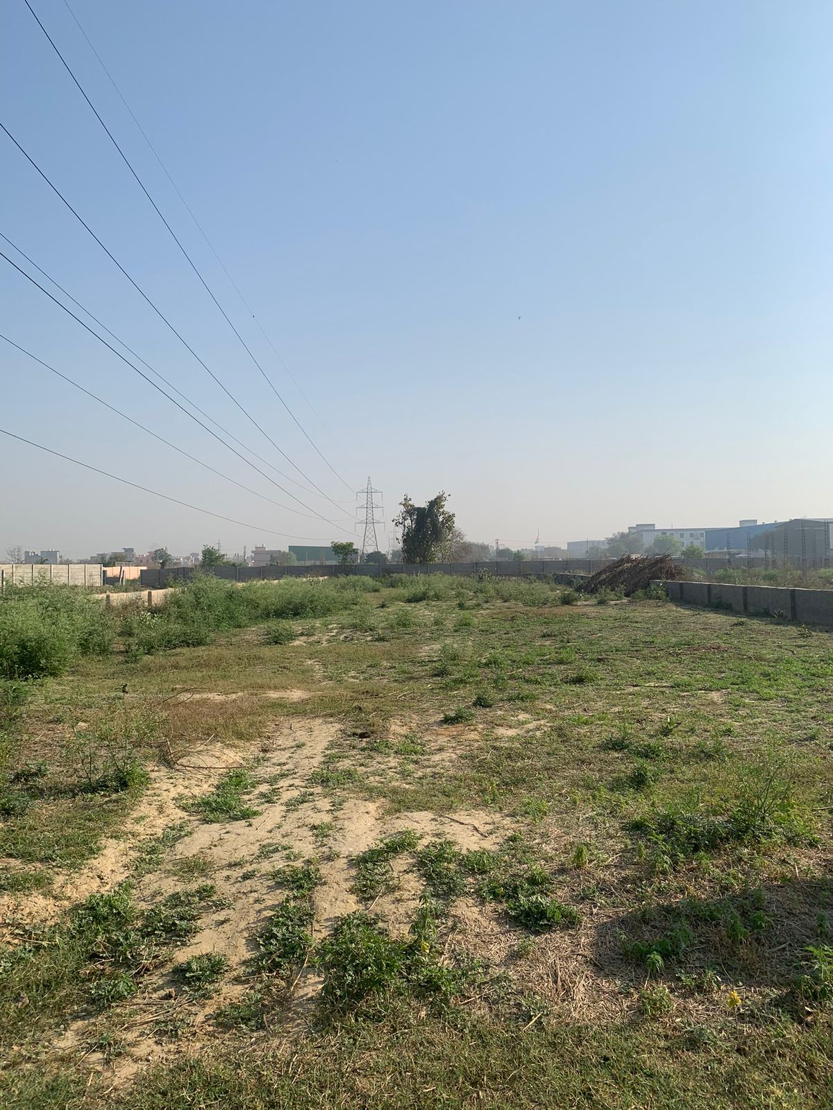 WhatsApp Image 2025-10-14 at 11.56.51 AM