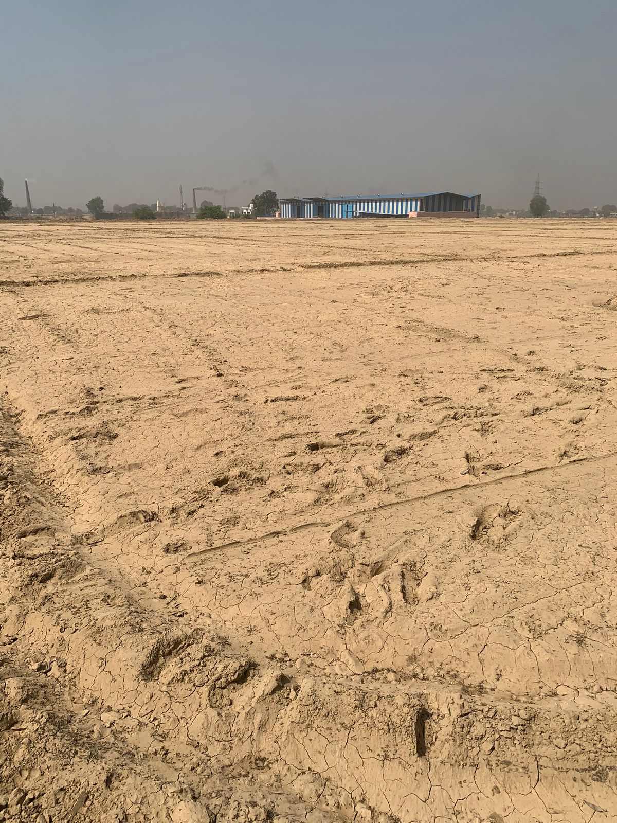 WhatsApp Image 2025-10-14 at 12.16.34 PM (1)