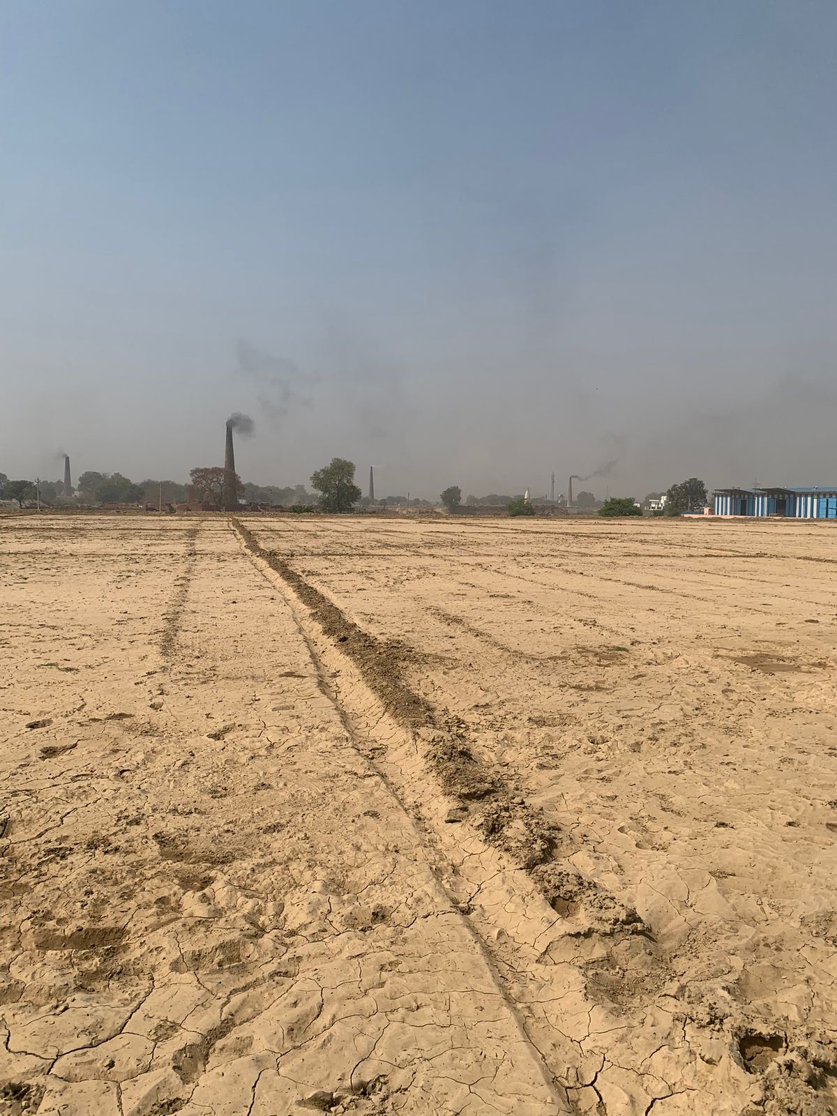 WhatsApp Image 2025-10-14 at 12.16.34 PM