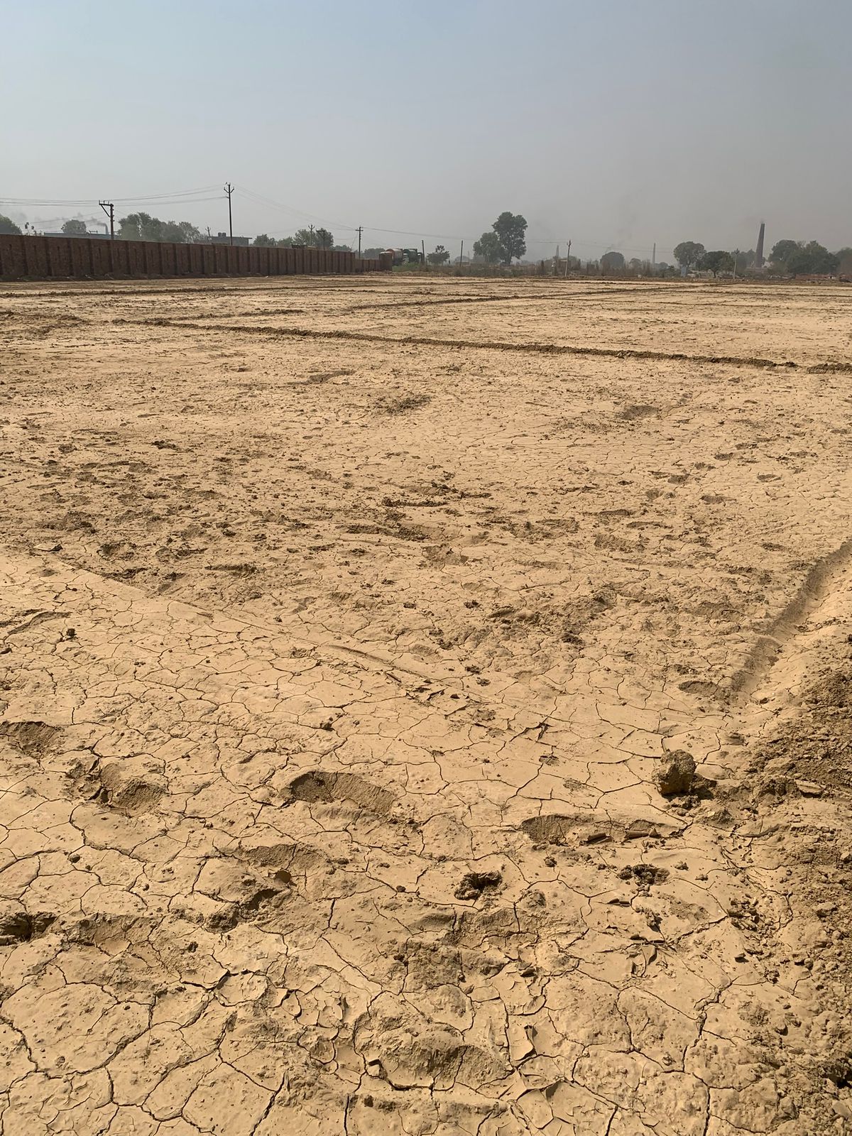 WhatsApp Image 2025-10-14 at 12.16.36 PM