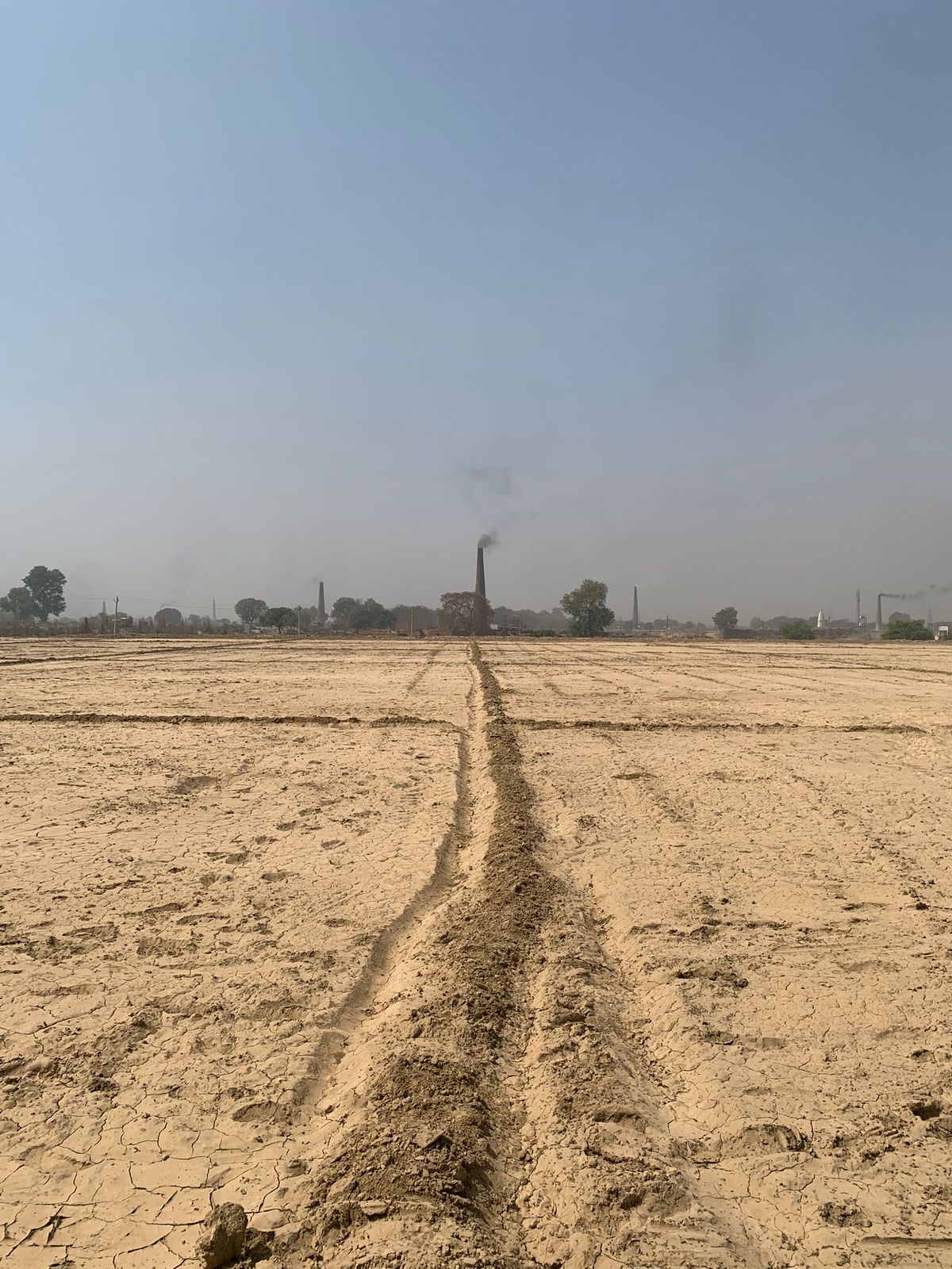 WhatsApp Image 2025-10-14 at 12.16.37 PM