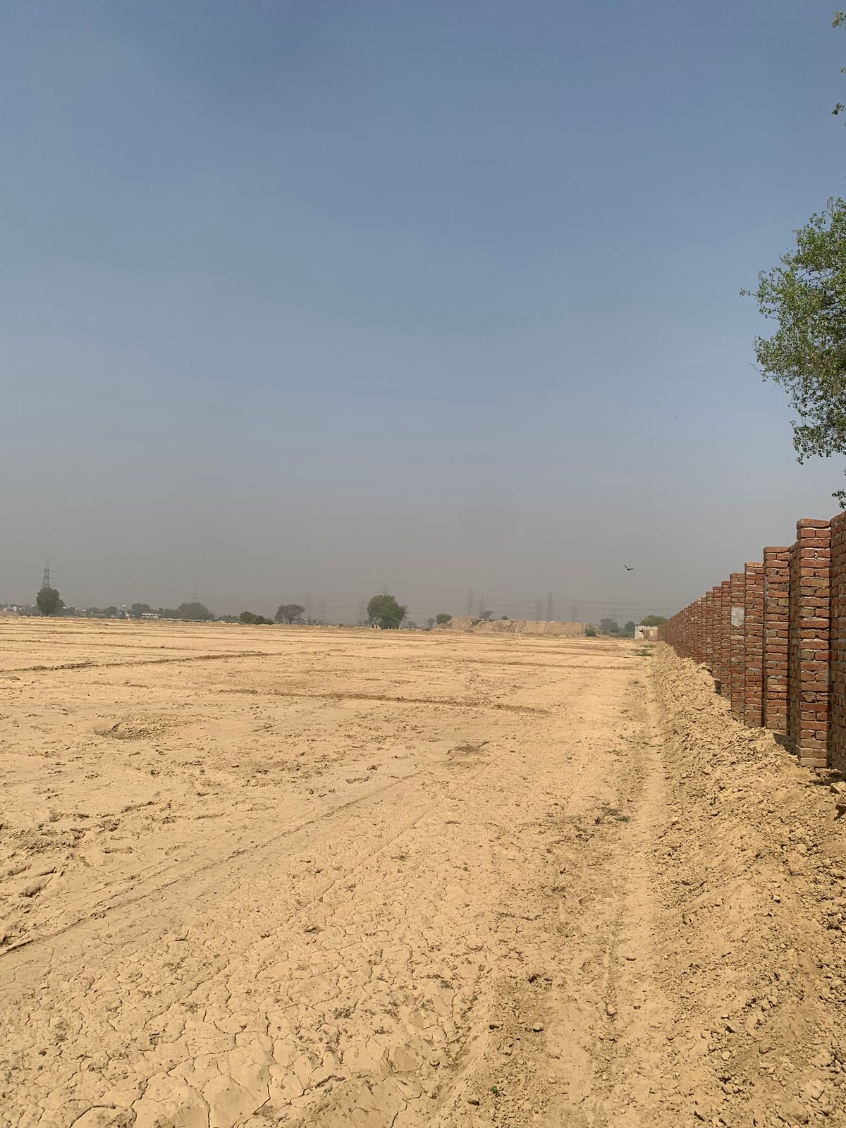 WhatsApp Image 2025-10-14 at 12.16.38 PM