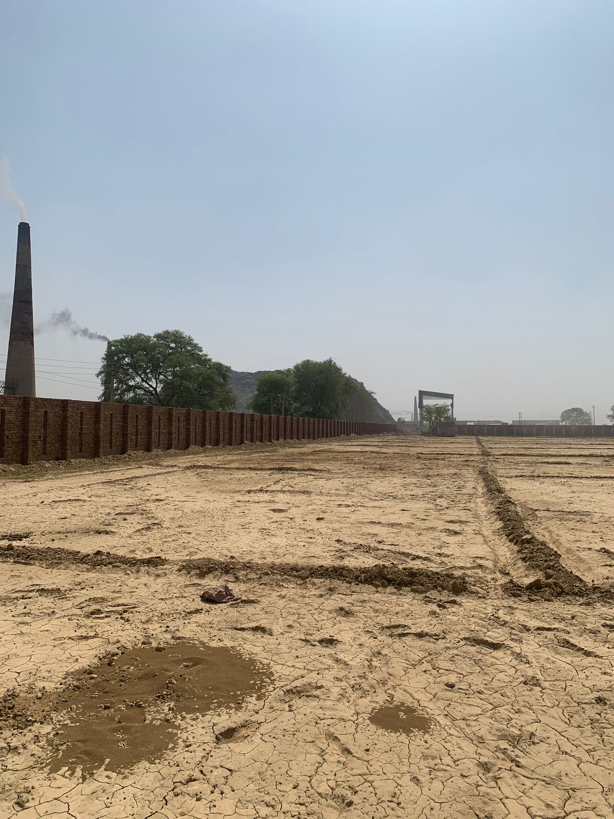 WhatsApp Image 2025-10-14 at 12.16.46 PM (1)