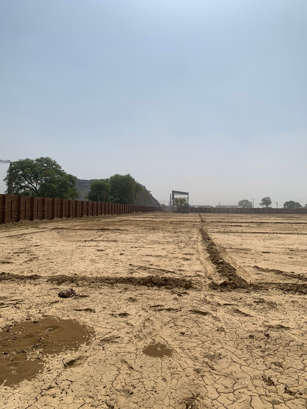 WhatsApp Image 2025-10-14 at 12.16.46 PM